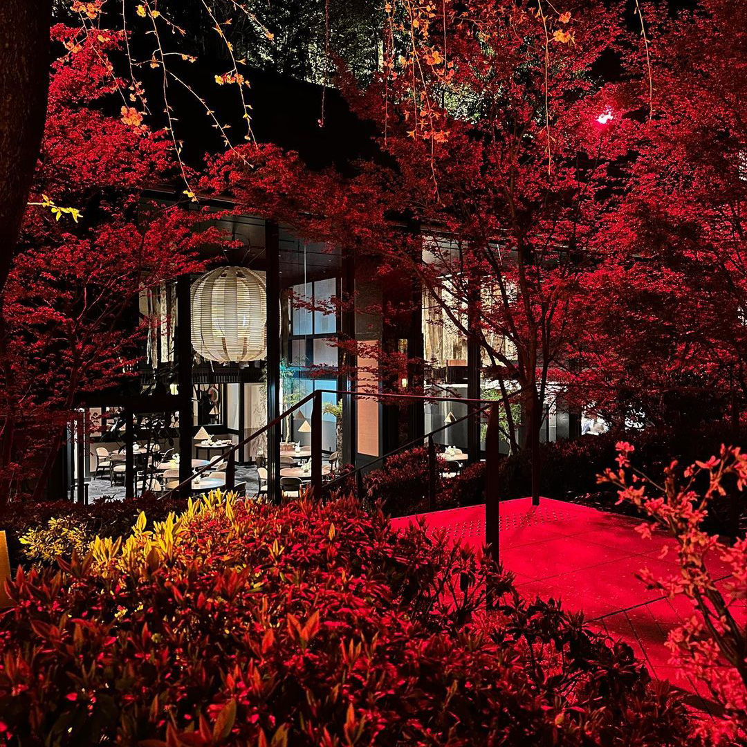 Noma in Kyoto | Noma Projects · Noma Projects